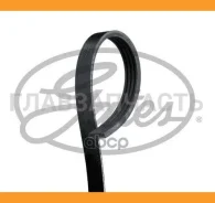 ������ 4PK910SF ����