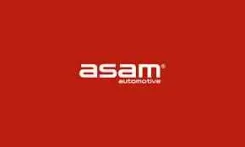 �������� ��������� ������� 30391 ASAM 30391 30391 ����