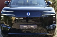 Denza N8L ������� ����