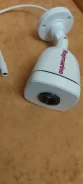 �����������. ����