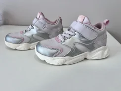 ���������. 29 ����