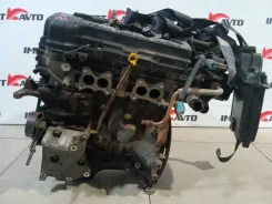 ��������� Nissan Bluebird Sylphy 2000-2003 101024M550 FG10 QG15DE 101024M550 ����
