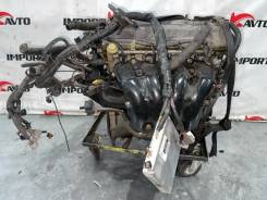 ��������� Toyota Camry 2004-2006 1900028120 ACV30 2AZ-FE 1900028120 ����