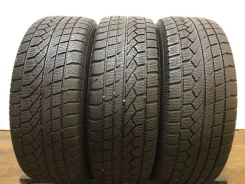 Toyo Winter Tranpath M2