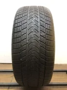 Gripmax Status Pro Winter