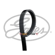 ������ ������������ Gates 4PK708 XF48342 Gates 4PK708 ����