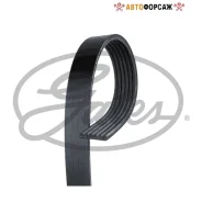 ������ ������������ Gates 6PK1245 Gates 6PK1245 ����