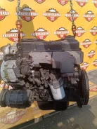 ��������� � ����� Nissan Atlas 1992 P8F23 TD27 ����