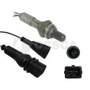 ���� �� ��) ������ ����������� 3-� � 10539 Ossca Ossca 10539 10539 ����