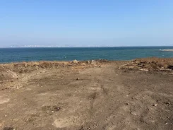 ������� � ��������� �������� �����. 20.8����., ������� ������� ���������, �������������, ������, ����. ���� ������� ����