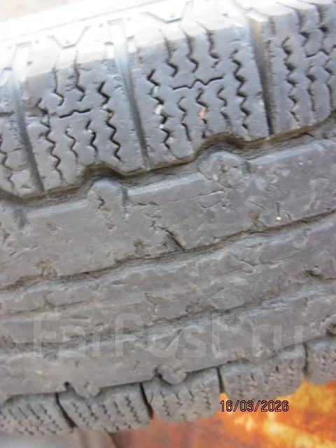 Centara Winter RX628. ������, ��� �����, �/�, ����� 70 % ����