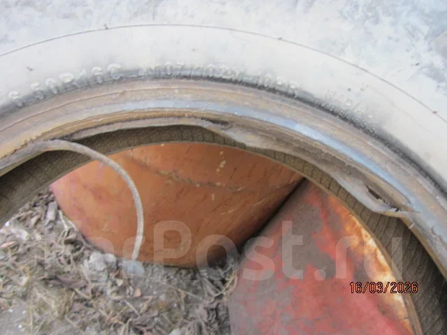 Centara Winter RX628. ������, ��� �����, �/�, ����� 70 % ����