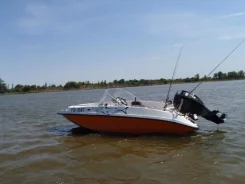 ������ 460. 2009 ���, ����� 4,6��., ��������� ���������, 60��.�., ������ ����