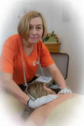 ����� ��������� � ��� ����� ���� � ��������� ��������� Fohow ����