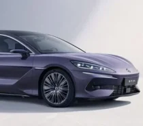 Denza Z9 ������� ����