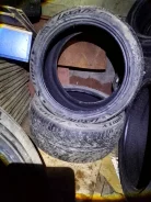 Lexani. ������, 2024 ���, �/�, ����� �� 5 % ����