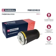 ������������ (���) BMW 5 IV Marshall M8020822 M8020822 ����