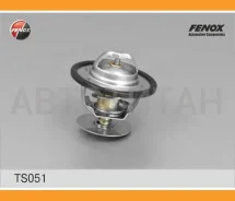 ��������� (+88�C) Ford Focus 1.8-2.0 98-04, Mondeo 1.8-2.0, 1.8D 93-00, Escort 1.6, 1.8, 1.8D 92-00 TS051 ����