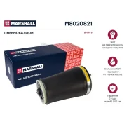 ������������ (���) BMW 5 IV Marshall M8020821 M8020821 ����