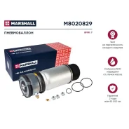 ������������ (���) BMW 7 IV Marshall M8020829 M8020829 ����