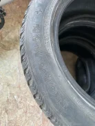 Nordman +. ������, ����������, 2008 ���, �/�, ����� 60 % ����
