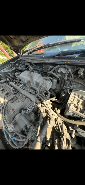 Toyota Cynos ����