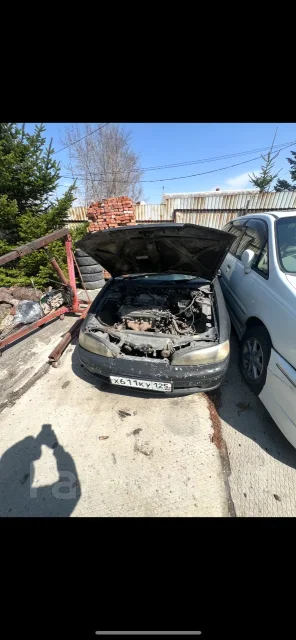 Toyota Cynos ����