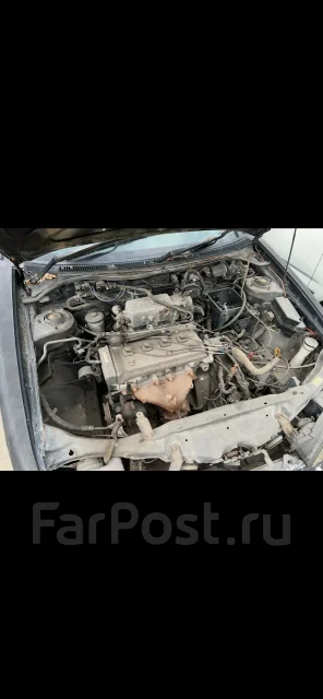 Toyota Cynos ����
