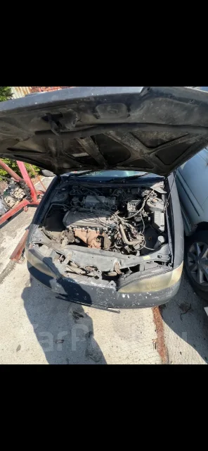 Toyota Cynos ����