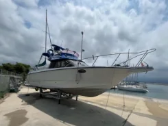 Yanmar. 1993 ���, ����� 10,8��., ��������� ������������, 280��.�., ������. ��� ����� �� ������������ ����