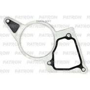 ��������� FIAT FORD PSA PSA 2.2 JTD/HDI/TDCI 06- ���������� ������ ������������� Patron PG30058 PG30058 ����