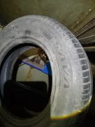Sava. ������, 2023 ���, �/�, ����� 5 % ����