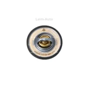 ��������� VW Passat 05- 725156 ����