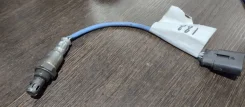 ������ ����������� 55219791 ����