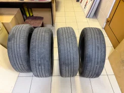 Triangle THW10. ������, 2023 ���, �/�, ����� 50 % ����