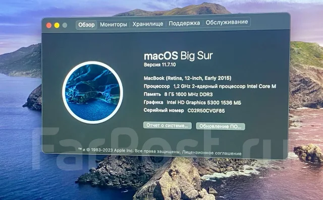 Apple MacBook 12. 12", 1,2����, ��� 8 ��, ���� 512���, WiFi: 1, Bluetooth: 1, ����������� �� 6��. ����
