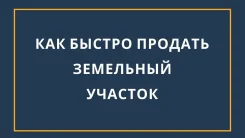 ������������� ������ �����-������� ������������. ����