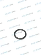 ��������� ������ ������� DIAM=24 MM SP=3 MM Iveco 17916385 17916385 ����