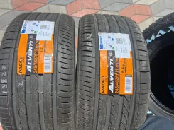 Pace Alventi. ������, 2024 ���, ����� ����