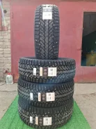 Formula Ice. ������, ����������, 2026 ���, �����. �������� ������� ����