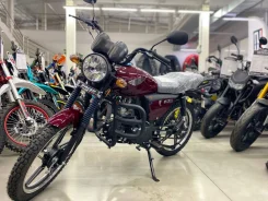Racer RC50 Alpha