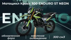 Motoland 300 ST Neon