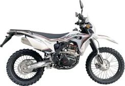 BSE Z6 Y