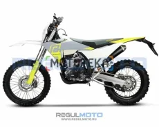 Regulmoto Nibbi N300-S