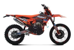 Progasi Endurance 300 EFI