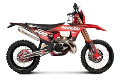 Progasi Race 300