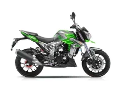 Regulmoto T-Leopard 300