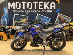 Regulmoto T-Leopard 300