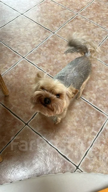 ������. ����