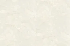 ���� ���.���.�� ����. ������ �2010-1 1,06*10� ����� ����